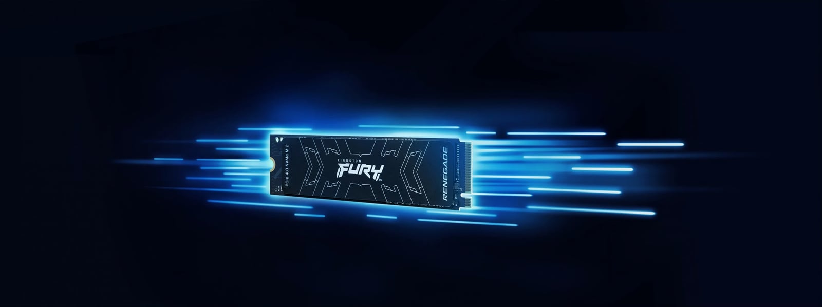 SSD Kingston FURY RENEGADE M.2 2280 NVMe, 1 TB, 7300 MB/s