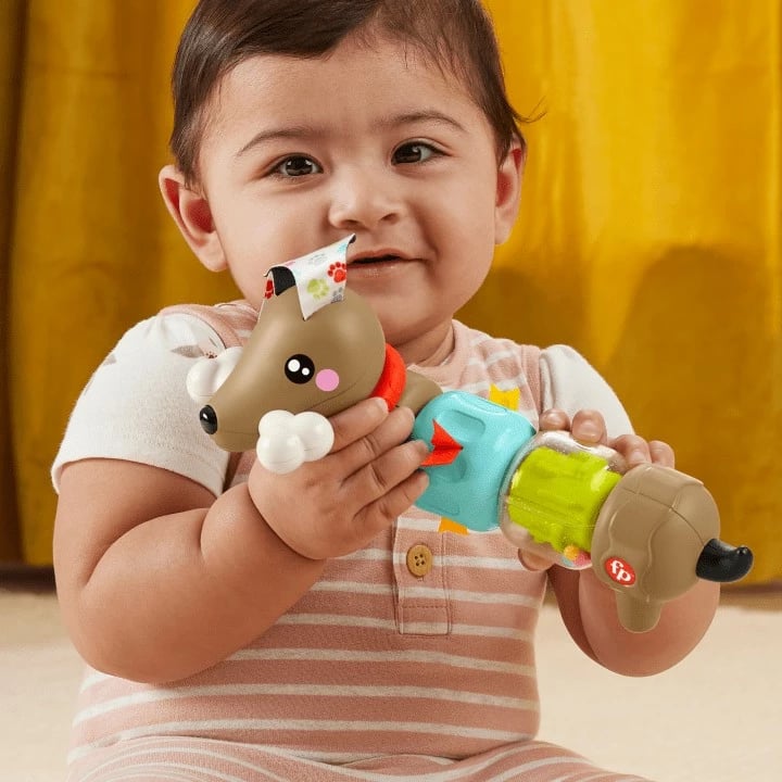 Lodër sensorike Fisher Price Pets Engaging Dachshund, plastikë, shumëngjyrëshe
