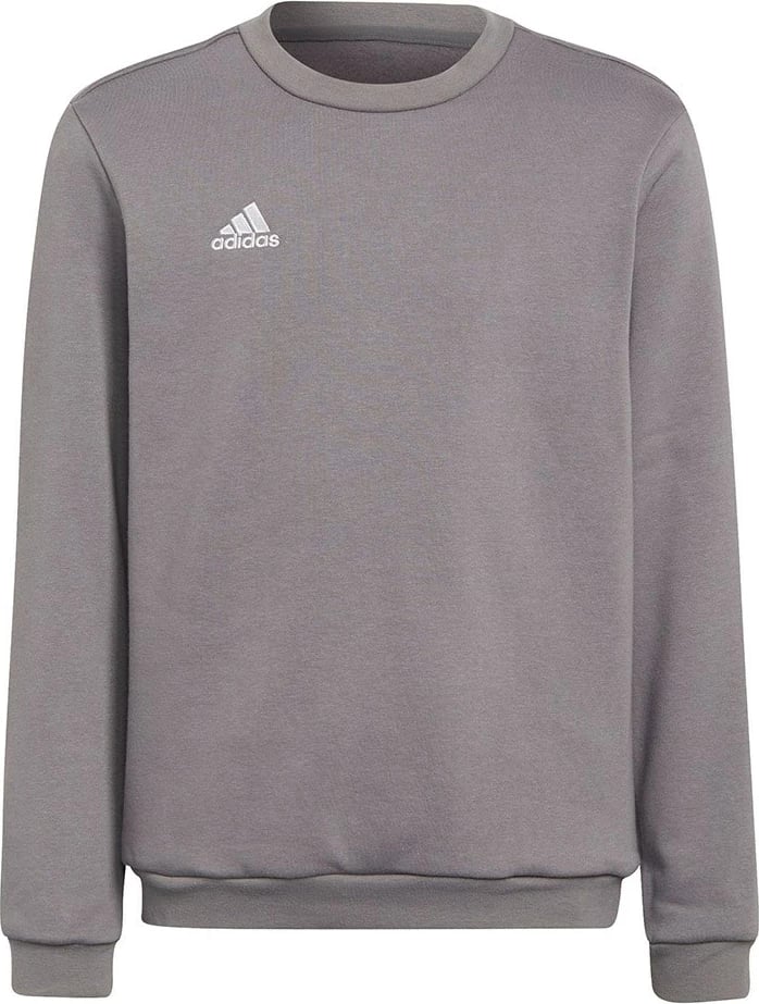 Bluzë Adidas Entrada 22, Gri, 164cm