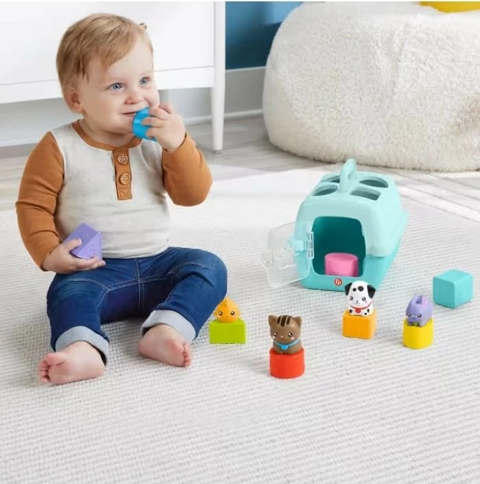 Lodër sorter Fisher Price FP Pets HTW93, plastikë, shumëngjyrëshe, për fëmijë 6+ muajsh