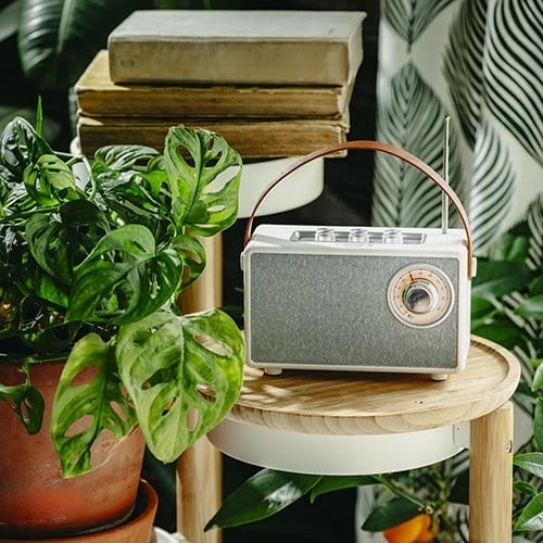 Altoparlant Bluetooth Camry CR1902, FM, USB-C, i bardhë