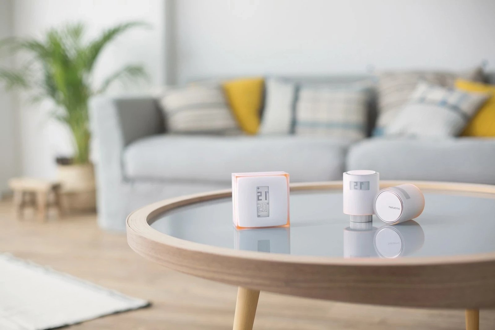 Set termostat i mençur Netatmo me 3 valvula të mençura për radiator, i bardhë