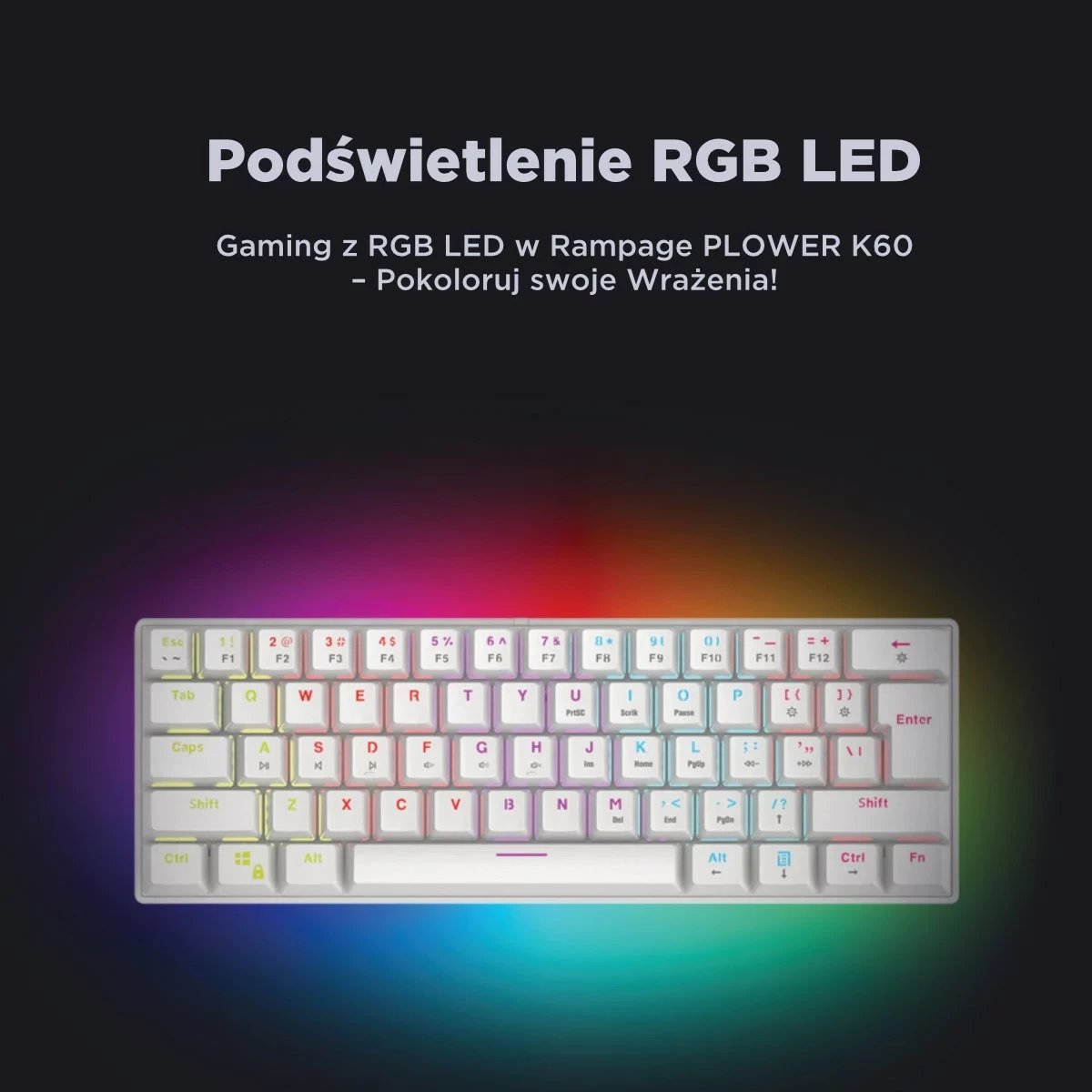 Tastierë mekanike Rampage PLOWER K60, RMP Blue, e bardhë