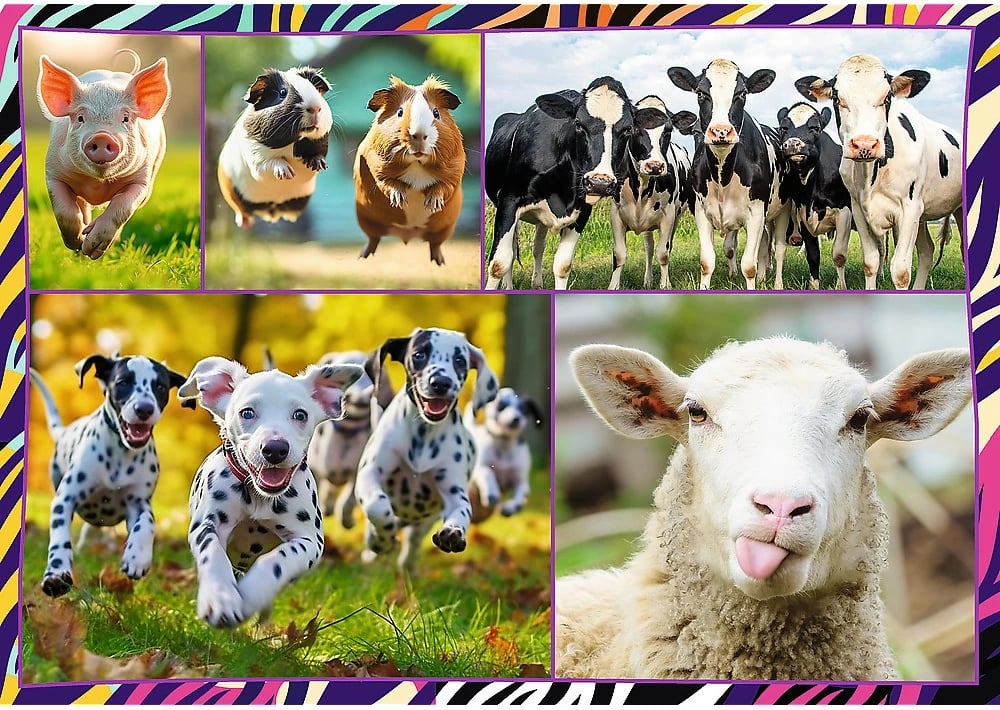 Puzzle Trefl 4x250 Funny Animals për fëmijë, karton, set me 4 copë