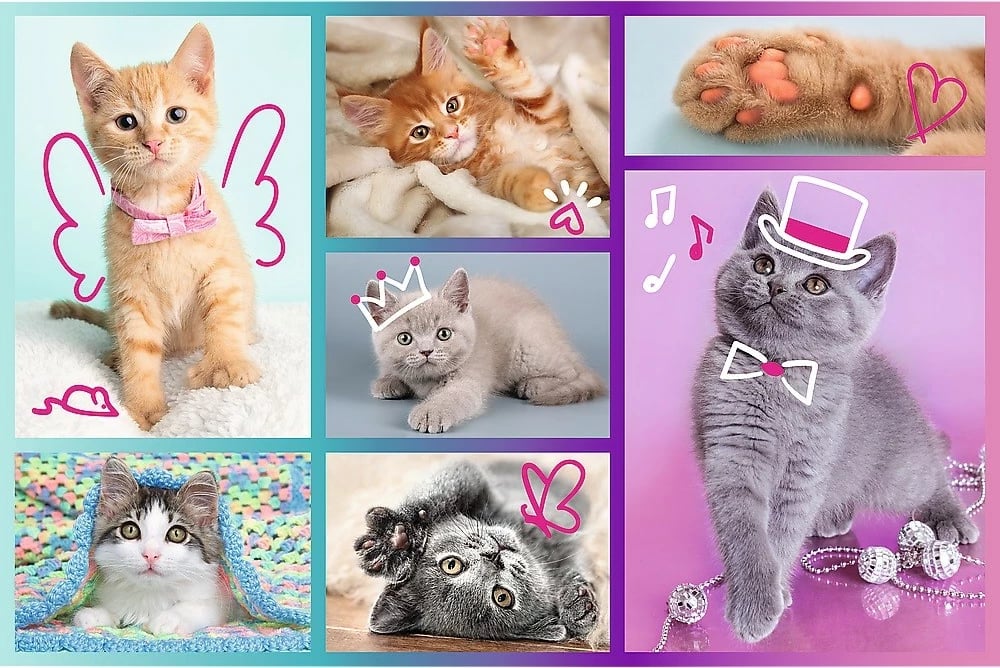 Puzzle për fëmijë Trefl 17373 Cute Kittens, 60 pjesë, shumëngjyrëshe Puzzle për fëmijë Trefl 17373 Cute Kittens, 60 pjesë, shumëngjyrëshe