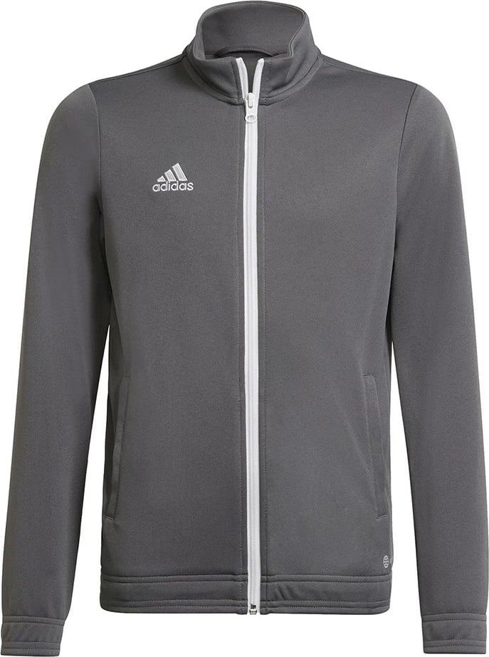 Trenerkë Adidas Entrada 22 për fëmijë, Gri