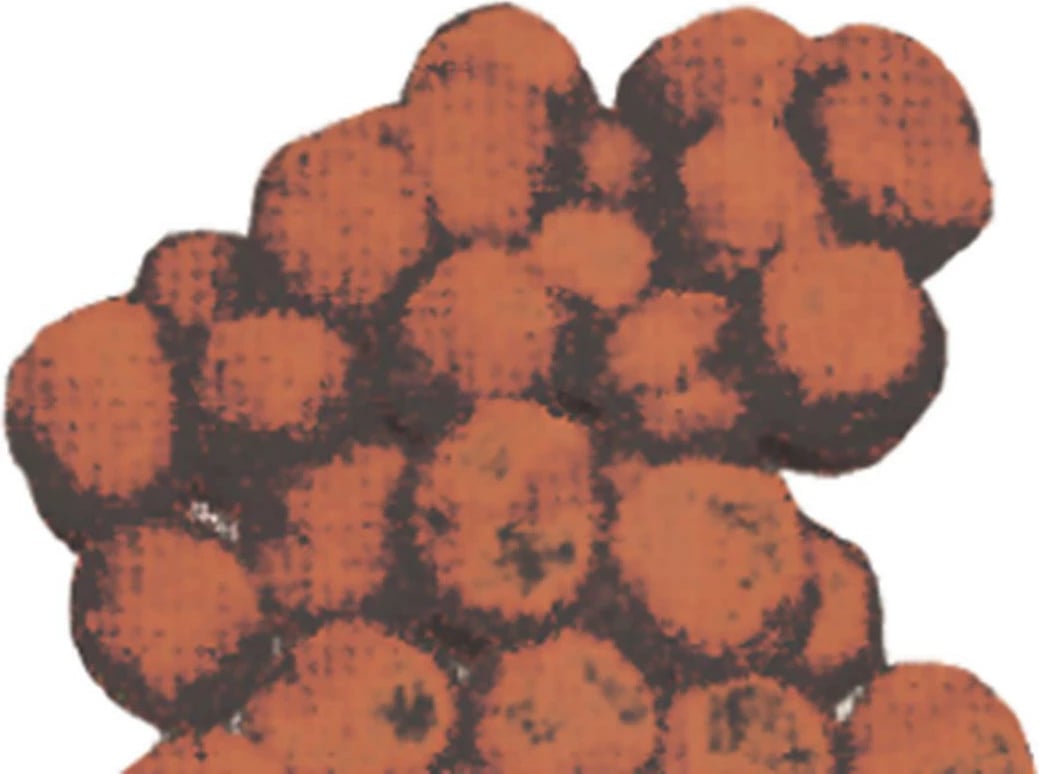 Pom poms kafe NEXT 2cm, 100 copë