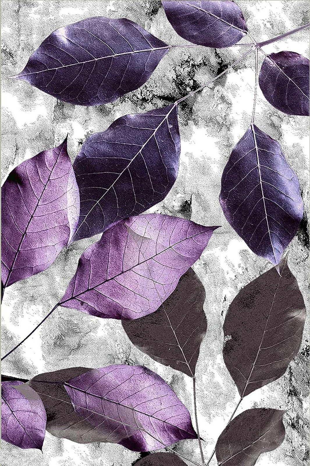 Qilim Conceptum Hypnose, shumëngjyrësh, 160x230cm, Hmnt572