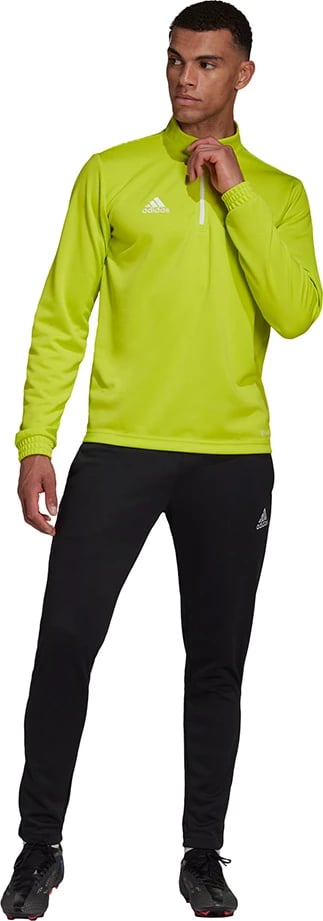 Duks për meshkuj adidas, i gjelbër
