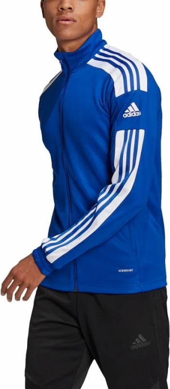 Duks adidas për meshkuj, blu
