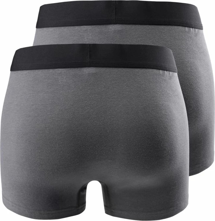 Të brendshme për meshkuj Iguana, gri