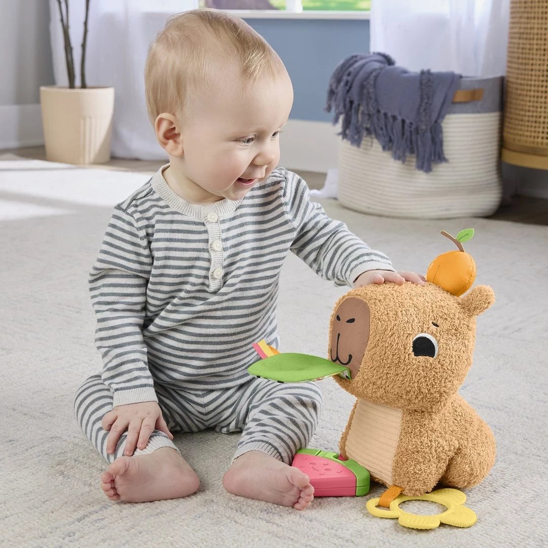 Lodër pellushi Fisher-Price Snuggly Snacky Capy, MATTEL, Bronztë