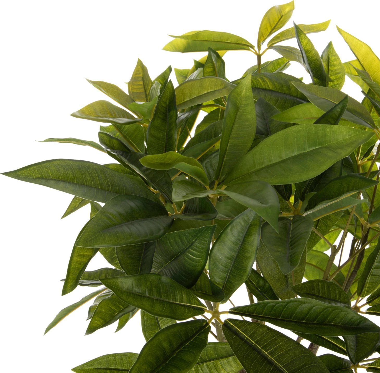 Bimë sintetike dekorative, FH4002, Pachira Macrocarpa, në vazo, 100H cm