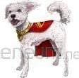 Lodër aksioni SPIN MASTER Superman Movie Flying Krypto 19 cm
