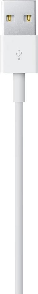 Apple Lightning to USB Cable, 1m