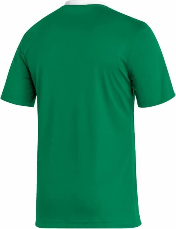 Fanellë Trajnimi adidas Entrada 22 për Meshkuj, e Gjelbër