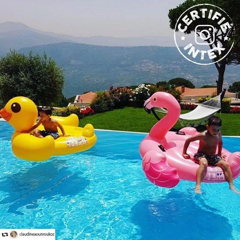 Lodër fryrëse për pishinë Intex 57558NP, flamingo, rozë