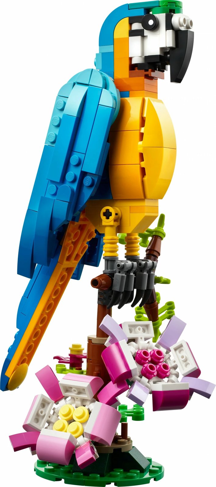 Set ndërtimi LEGO Creator 3-in-1 Papagalli Ekzotik, 253 pjesë, shumëngjyrësh