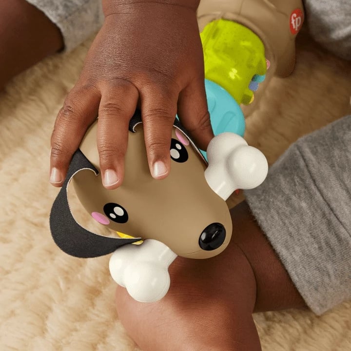 Lodër sensorike Fisher Price Pets Engaging Dachshund, plastikë, shumëngjyrëshe