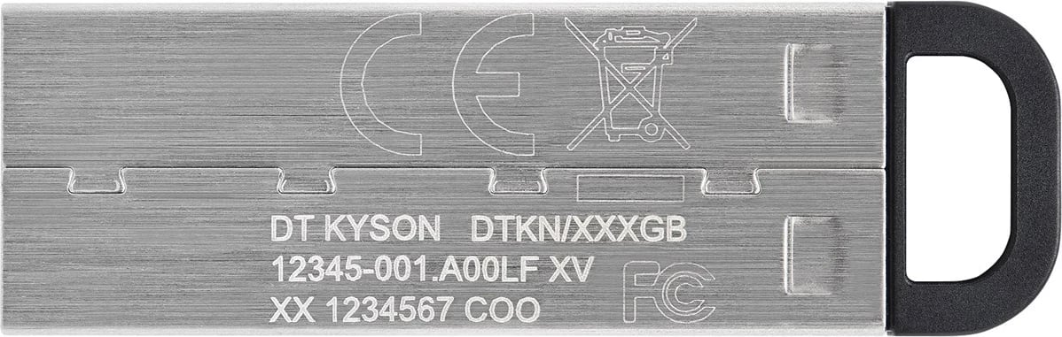 USB Flash Kingston DataTraveler 256GB Kyson, Argjendtë