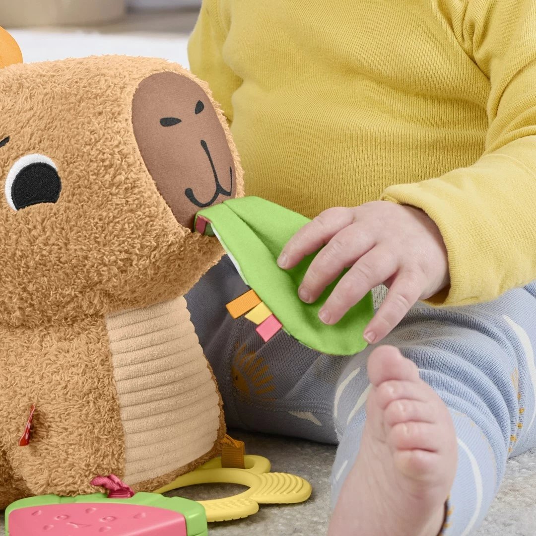 Lodër pellushi Fisher-Price Snuggly Snacky Capy, MATTEL, Bronztë