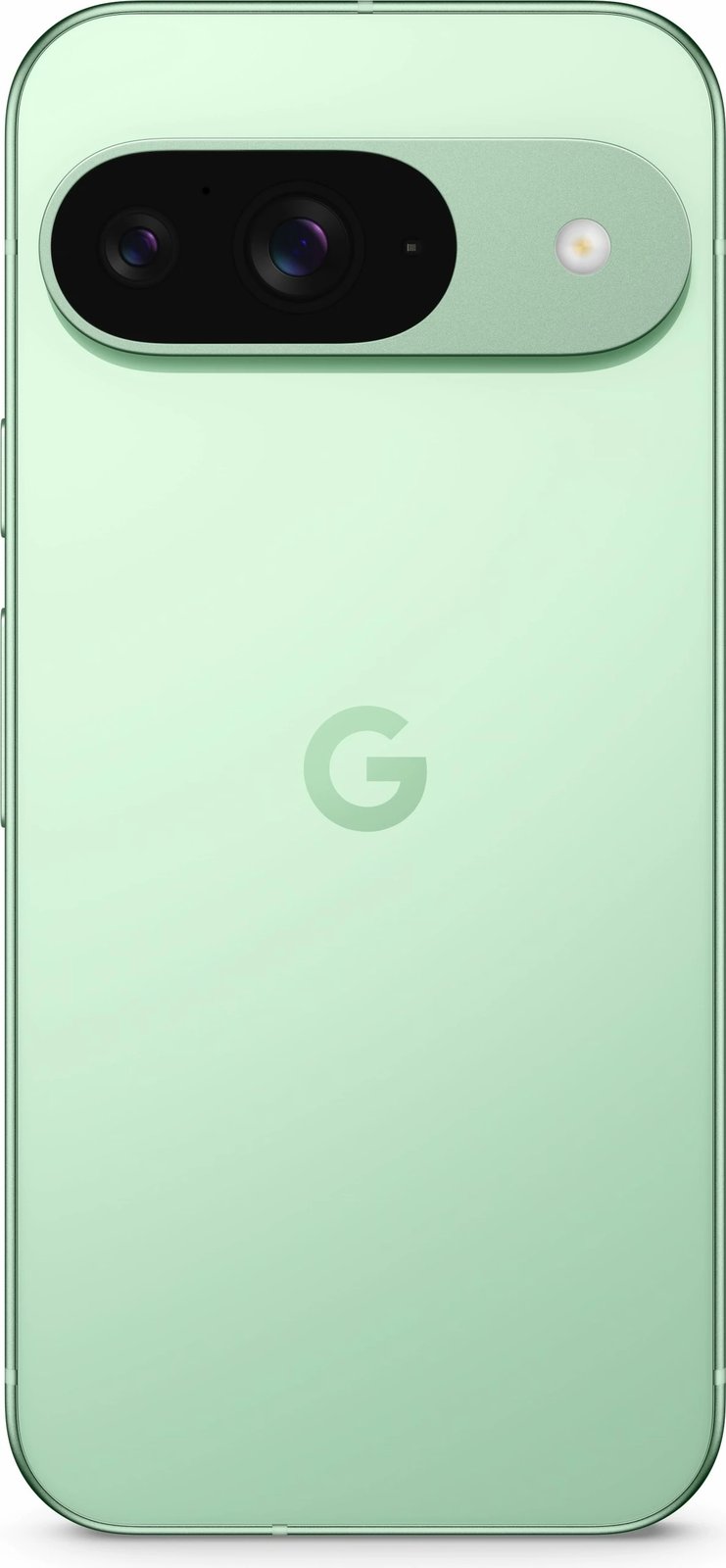 Celular Google Pixel 9, 12 GB RAM, 128 GB, Android 14, Wintergreen