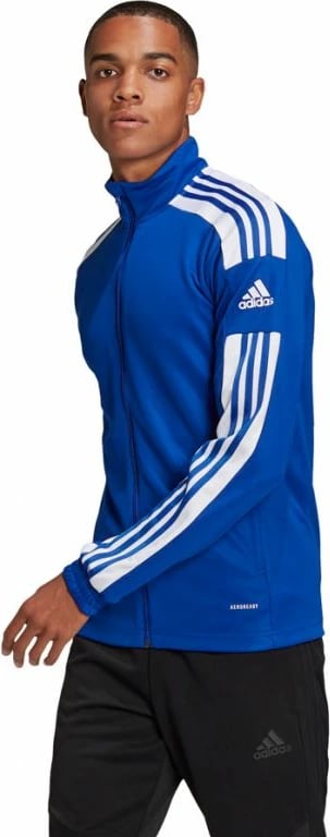 Duks adidas për meshkuj, blu