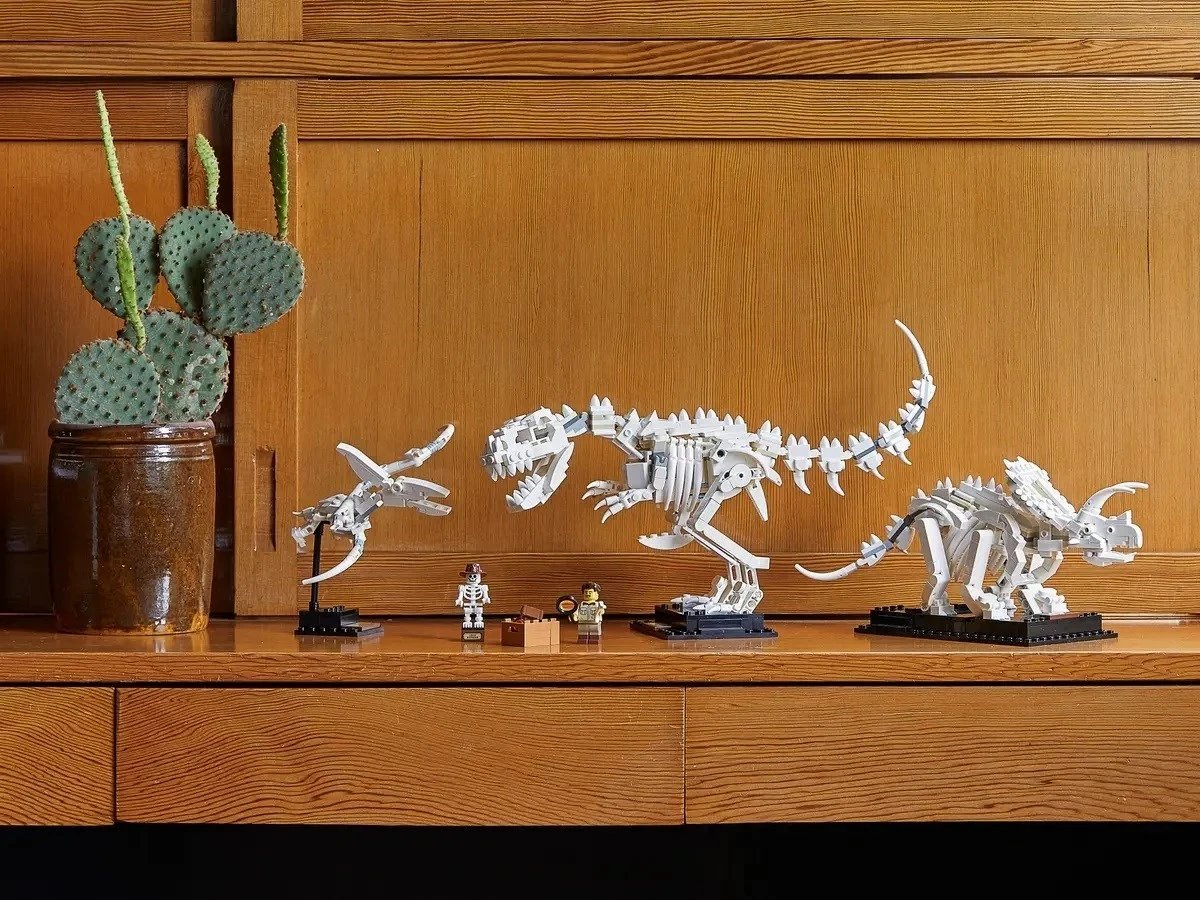 Lodra LEGO IDEAS 21320 Dinosaur Fossils, 910 pjesë Lodra LEGO IDEAS 21320 Dinosaur Fossils, 910 pjesë
