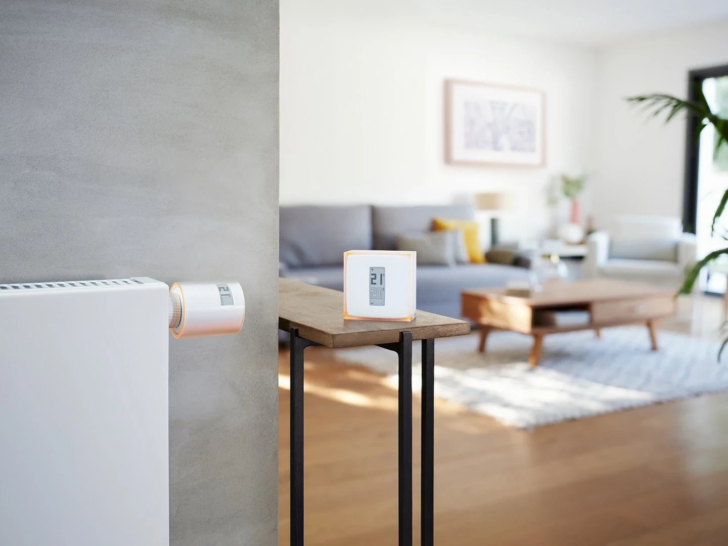 Valvula radiatorësh smart Netatmo Starter Pack, e bardhë