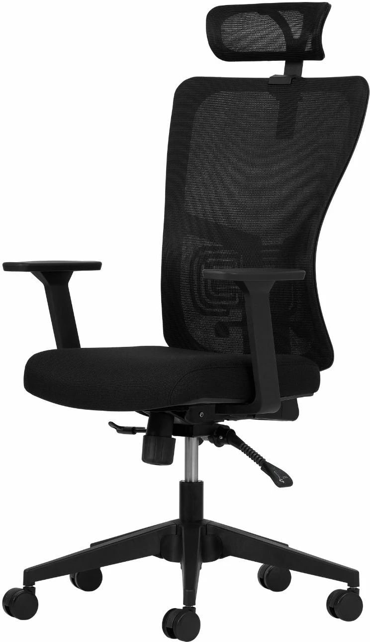 Karrige zyre ergonomike, ngjyrë e zezë, Skye Decor, 126 cm