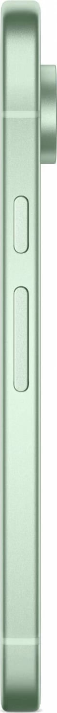 Celular Google Pixel 9 12/256GB 5G Winter Green
