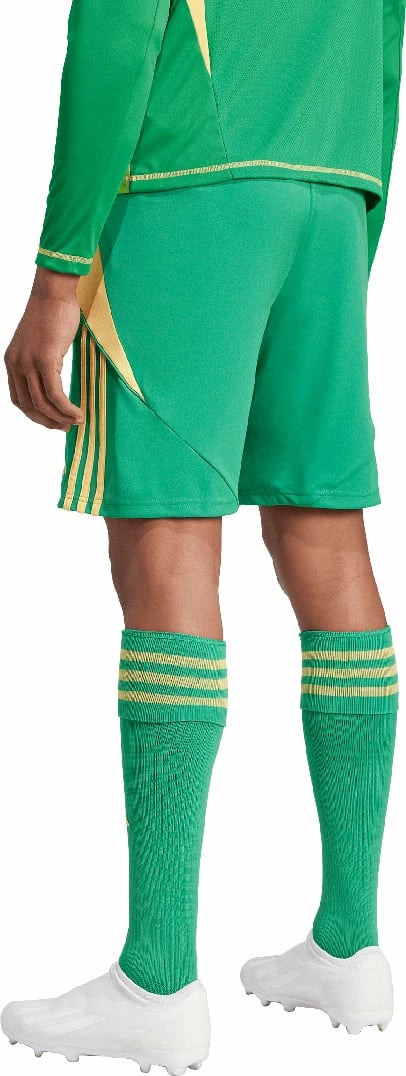 Shorce për meshkuj adidas, të gjelbra