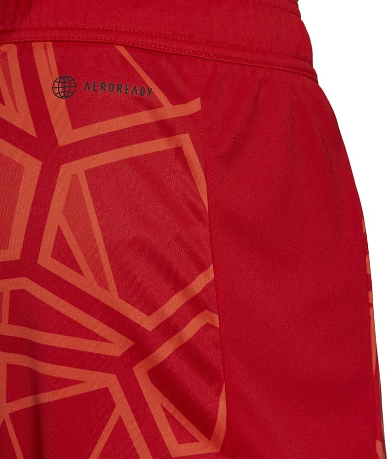 Shorce portieri adidas për meshkuj, të kuqe