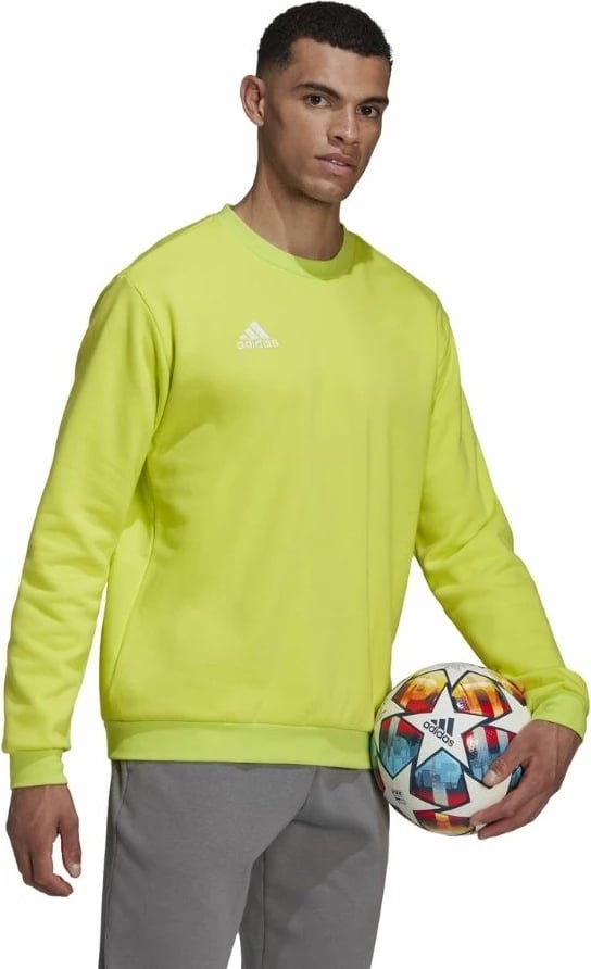 Duks për meshkuj adidas, i gjelbër