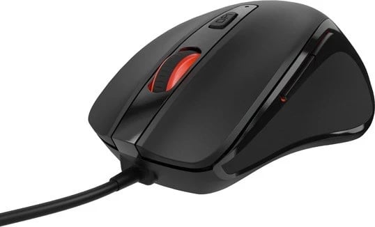 Maus Natec Pigeon 2, i zi