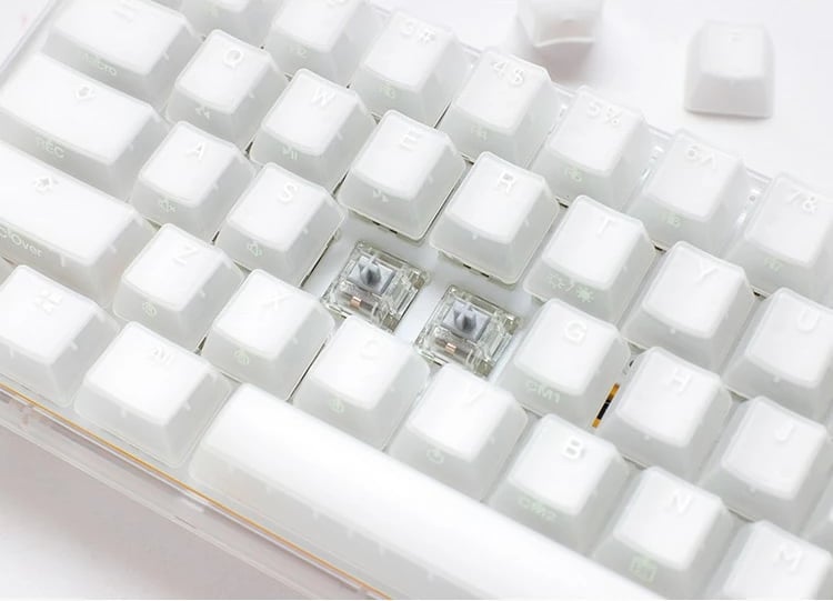 Tastierë mekanike Ducky One 3 TKL, Cherry MX Blue, RGB, QWERTZ, e bardhë