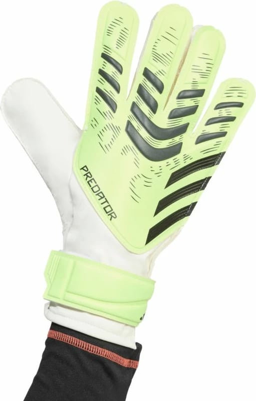 Doreza portieri adidas për meshkuj, të gjelbra
