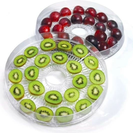 Dehidratues ushqimi Concept SO1020, 9 sita, gri