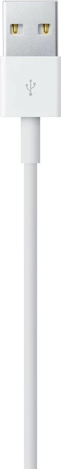 Apple Lightning to USB Cable, 1m