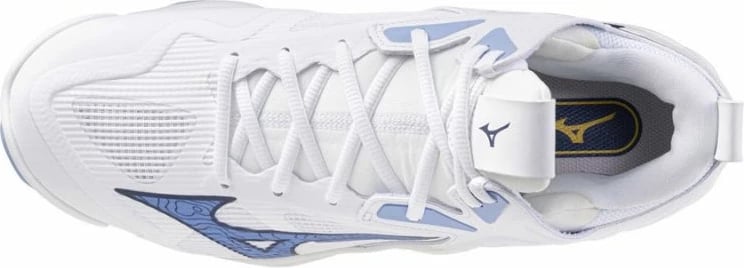 Atlete për meshkuj Mizuno, për volejboll