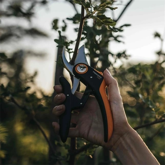 Gërshërë Fiskars Shears Plus P721, 210 mm, Inox