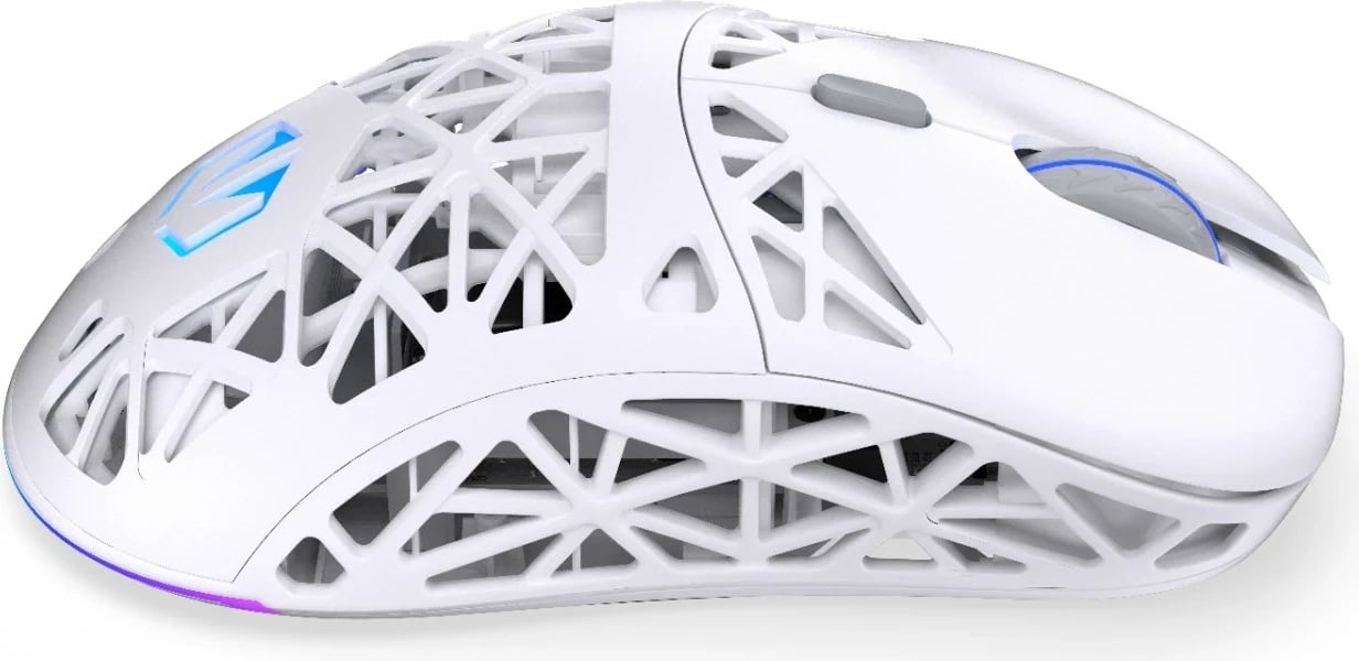 Maus wireless Endorfy LIV Onyx, RGB, i bardhë