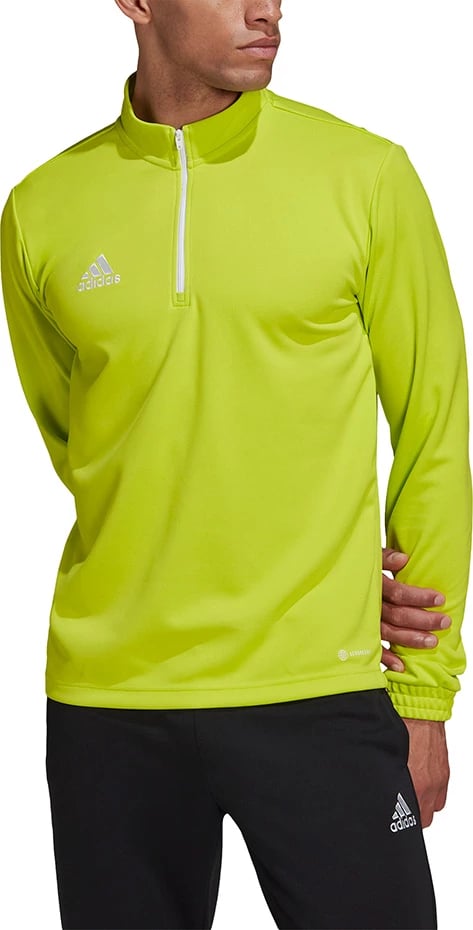 Duks për meshkuj adidas, i gjelbër