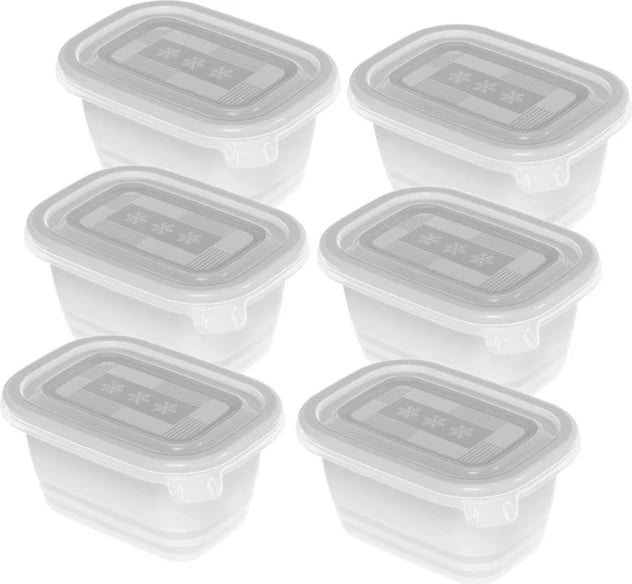 Enë për ngrirje Rotho Freeze, 6x250ml, Transparent