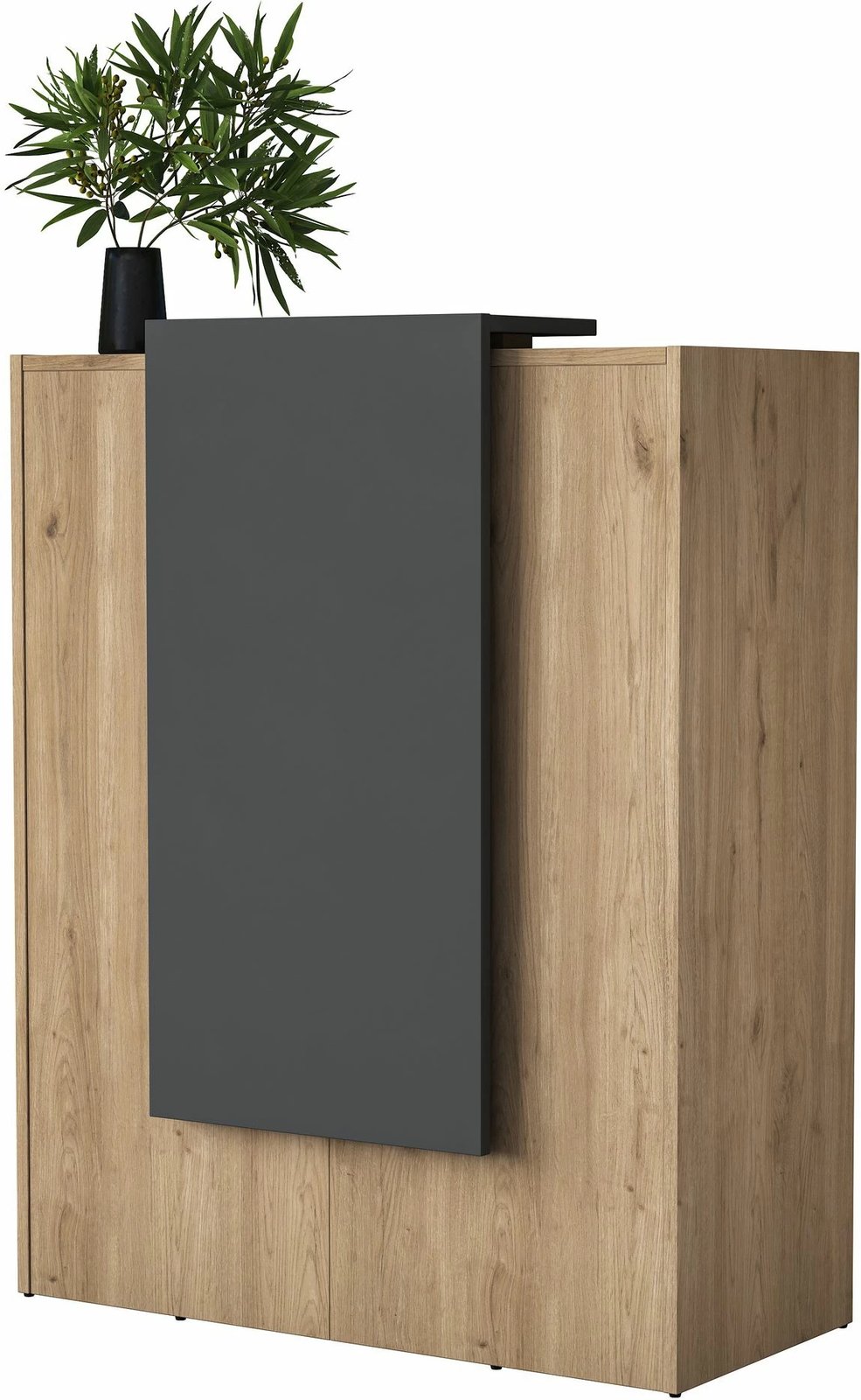 Tavolinë pritjeje Hanah Home, MA101 - 3859, ngjyrë arrë dhe antracit