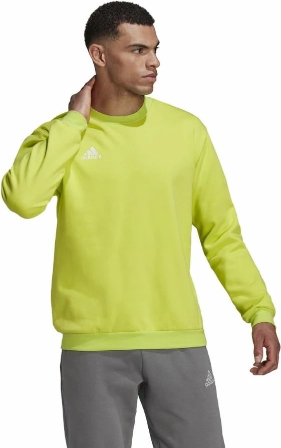 Duks për meshkuj adidas, i gjelbër