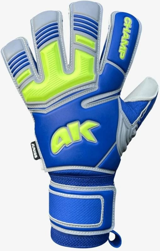 Doreza portieri për meshkuj 4keepers, gri