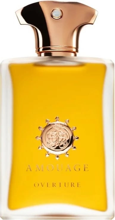 Eau de Parfum për meshkuj Amouage Overture Man 100ml