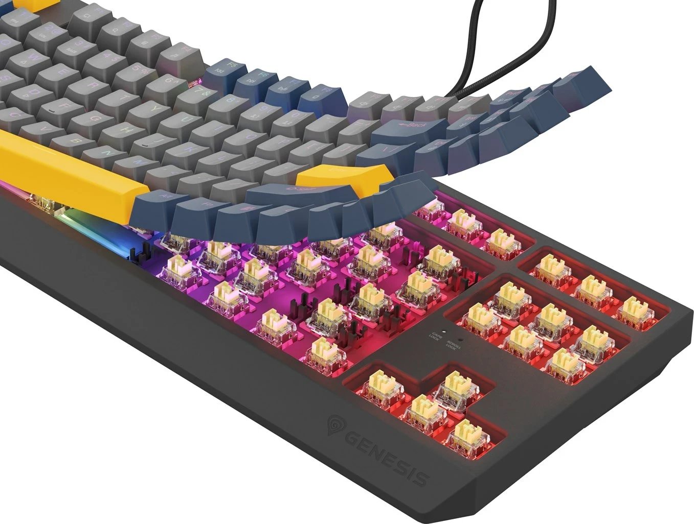 Tastierë gaming GENESIS Thor 230 TKL, mekanike, RGB LED, USB, Kaltër