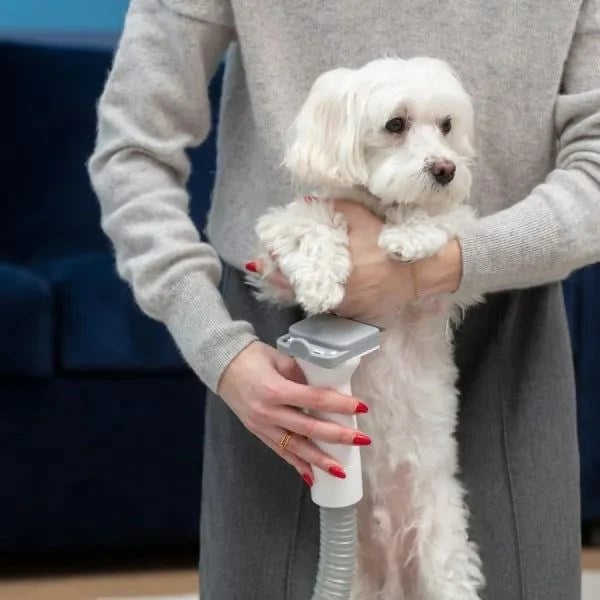 Pajisje kujdesi për kafshë MPM MOD-100, me fshesë me korrent dhe prerës qimesh, Gri